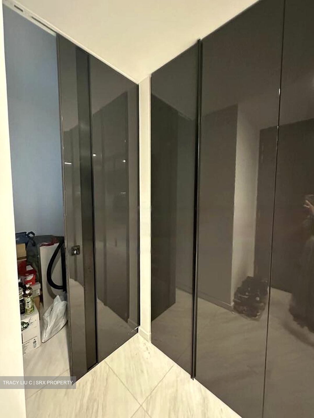 Cairnhill Nine (D9), Apartment #473415871